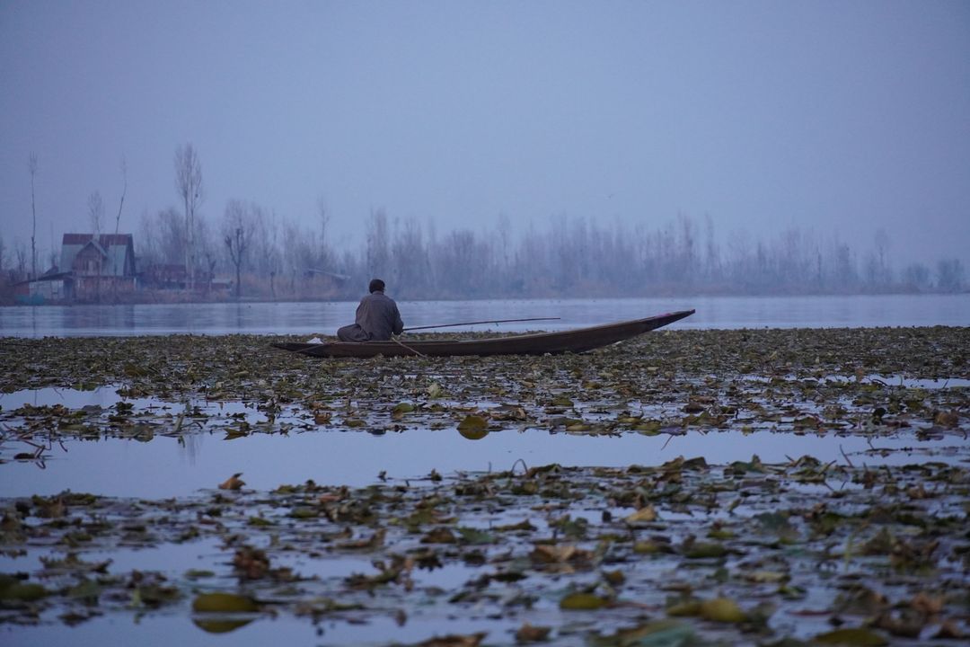 a boatman on a misty lake