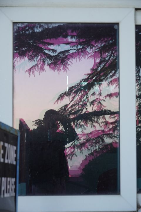 a reflection through blossoms