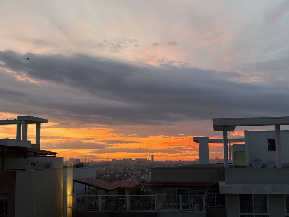 sunset rooftops
